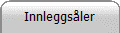 Innleggsåler