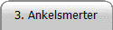 3. Ankelsmerter